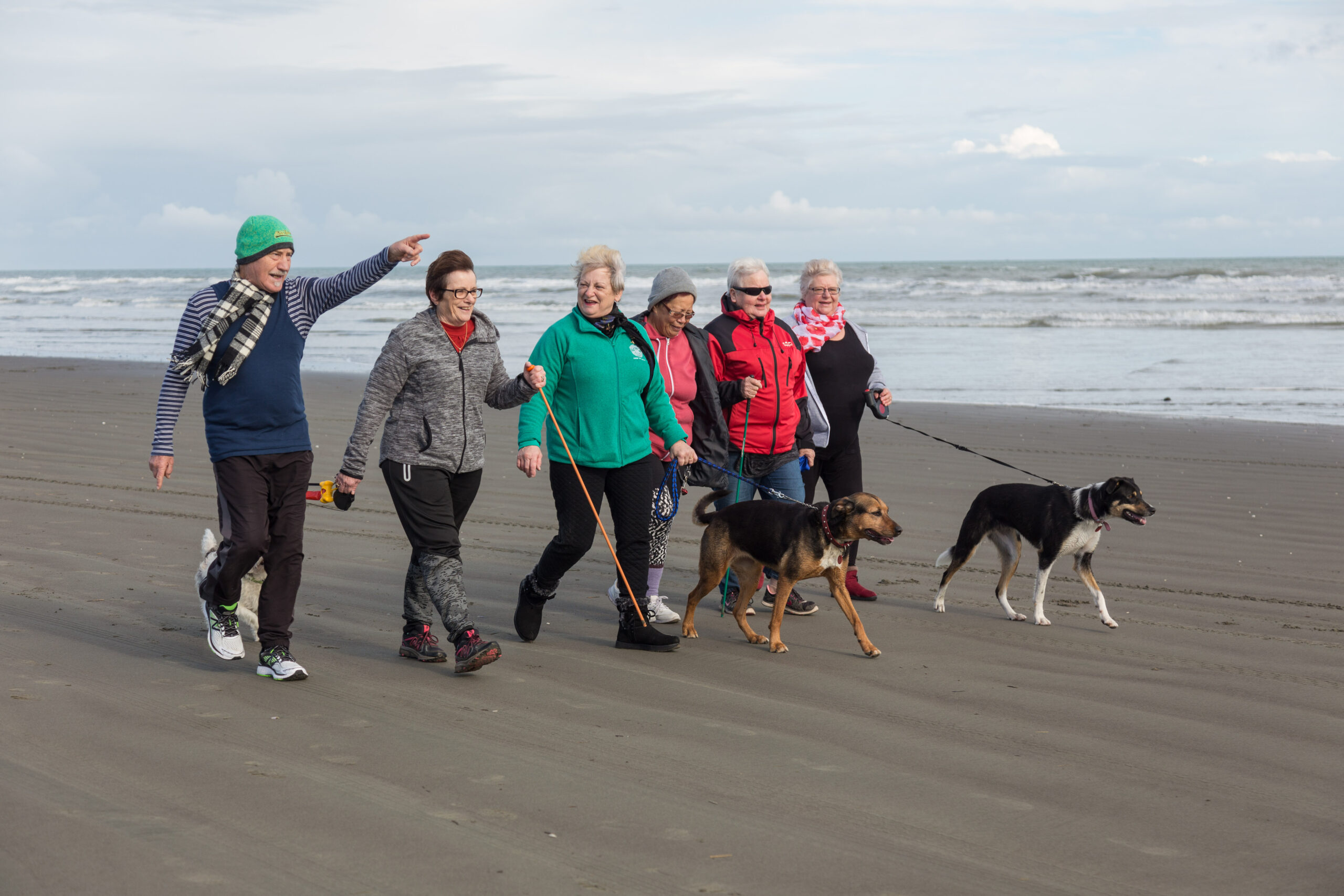 Six older adults with a dog walking on the beach