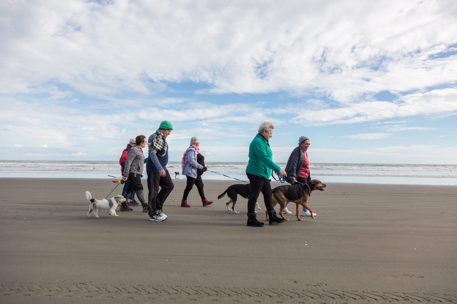 People walking their dogs on the beach