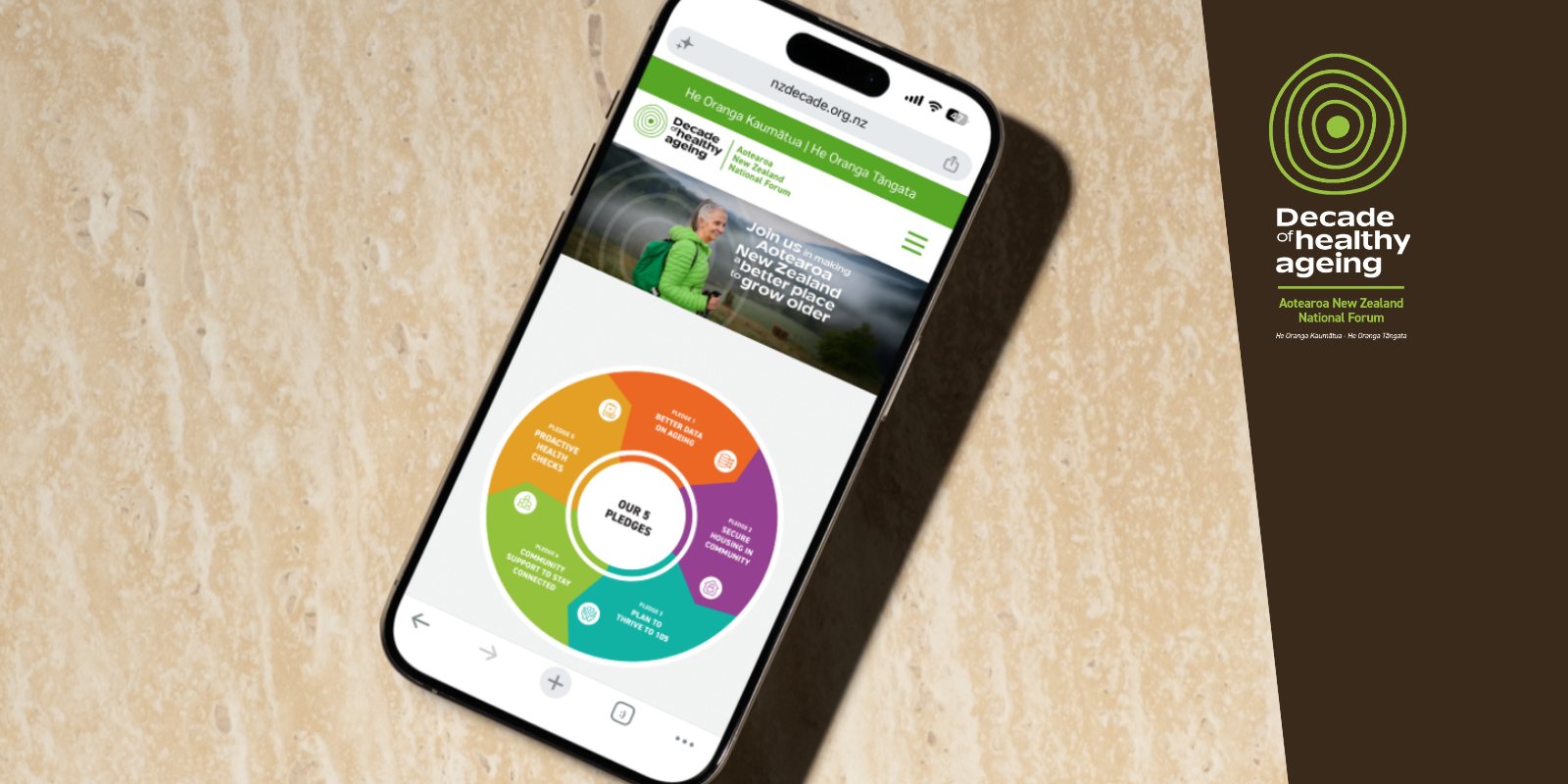 5 pledges infographic on mobile screen